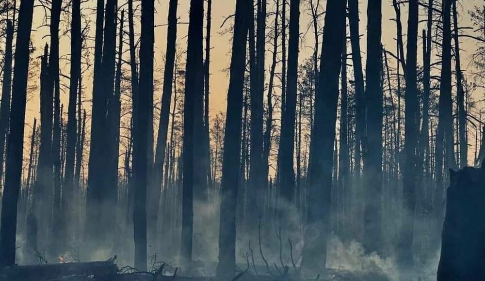 Загарбники завдають прицільних ударів по прифронтових населених пунктах на Луганщині