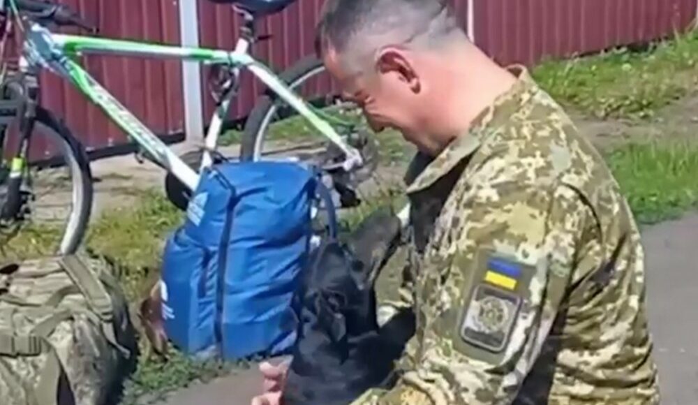 Після двох років полону захисник Маріуполя зустрівся зі своїм чотирилапим помічником (відео)