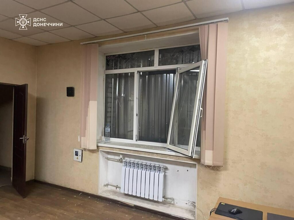 дснс, селидове