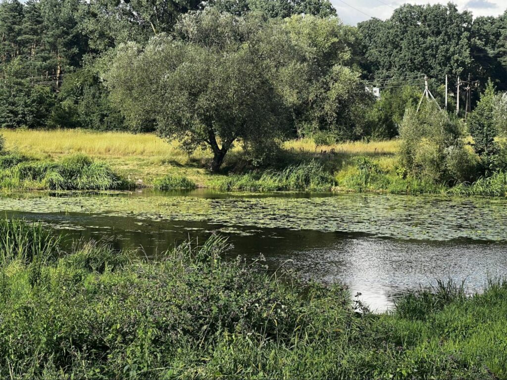 Річка Случ