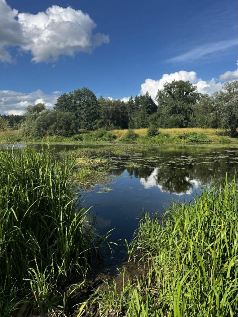 Річка Случ