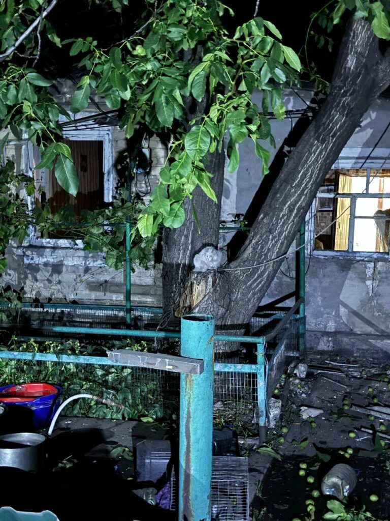 цукурине 6