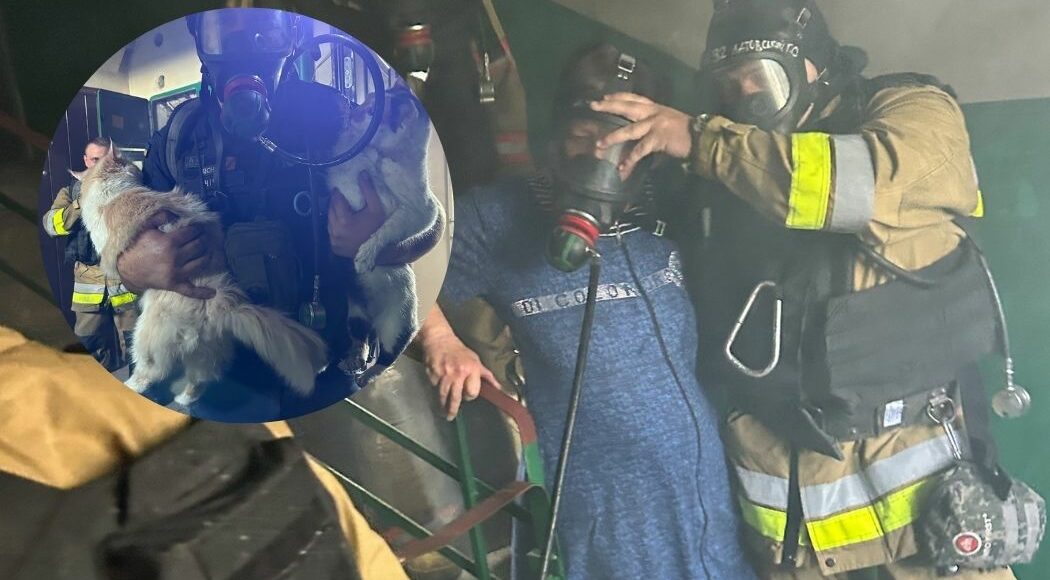 У Курахове під час гасіння пожежі після обстрілу врятували жінку та двох котів (фото)