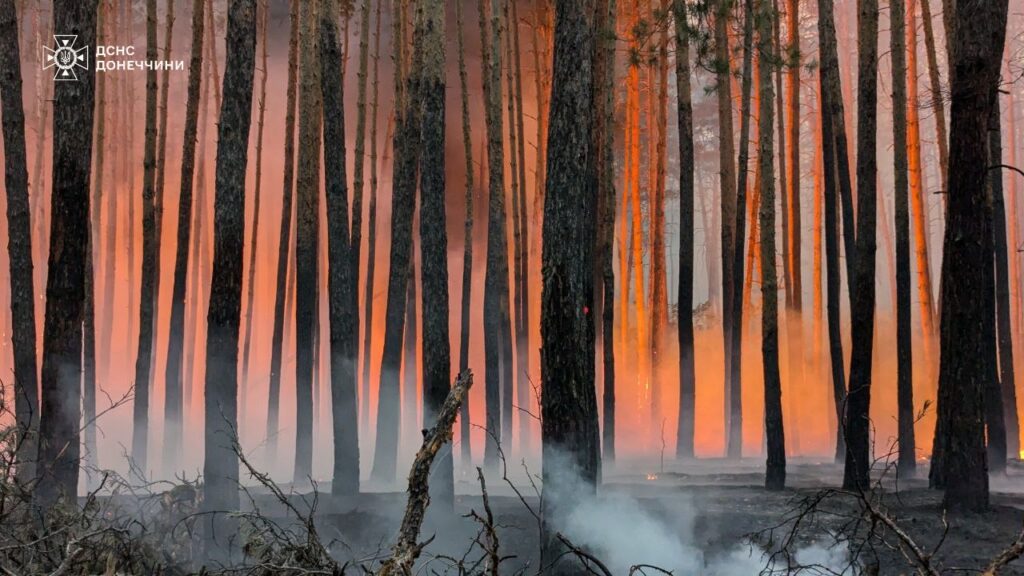Масштабна лісова пожежа на Донеччині та Харківщині 5