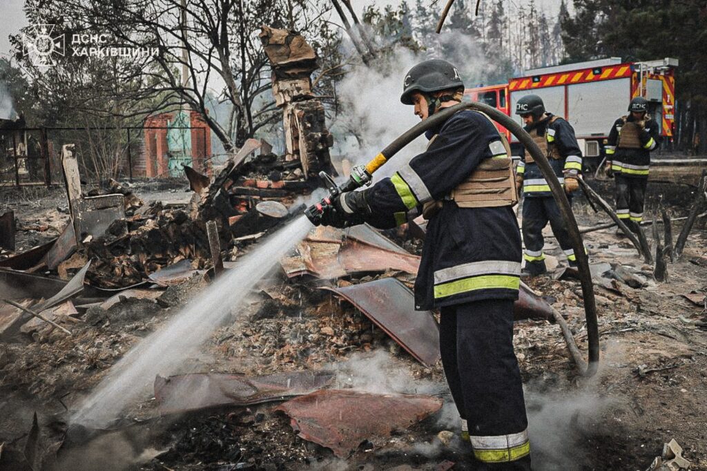 Масштабна лісова пожежа на Донеччині та Харківщині 7