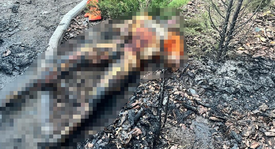 Вчора ворог двічі обстріляв Покровськ: деталі