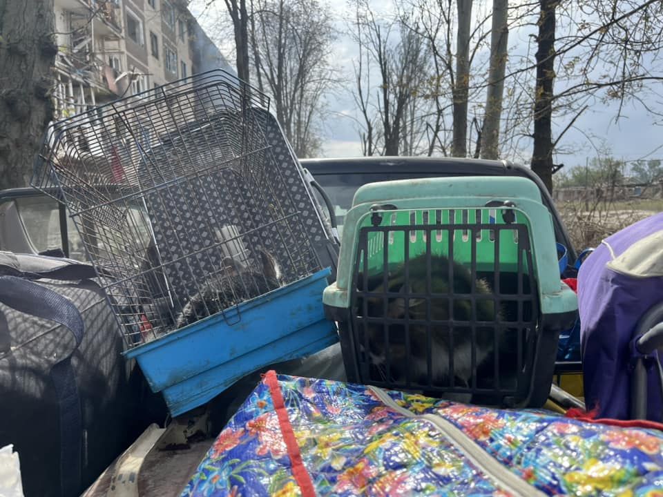 евакуація з Донеччини