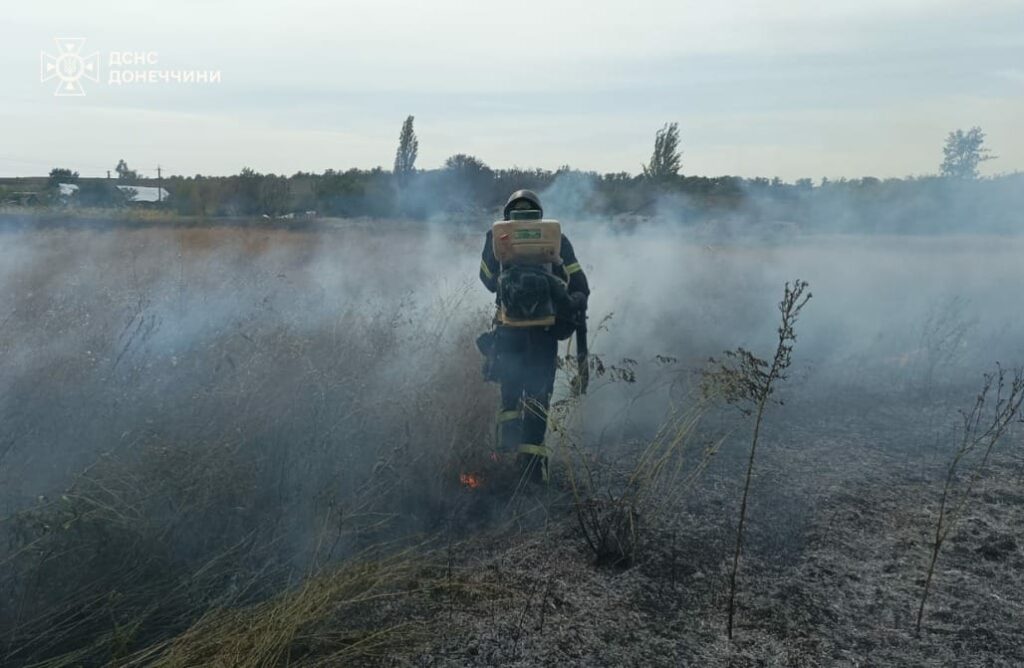 пожар в Донецкой области 4