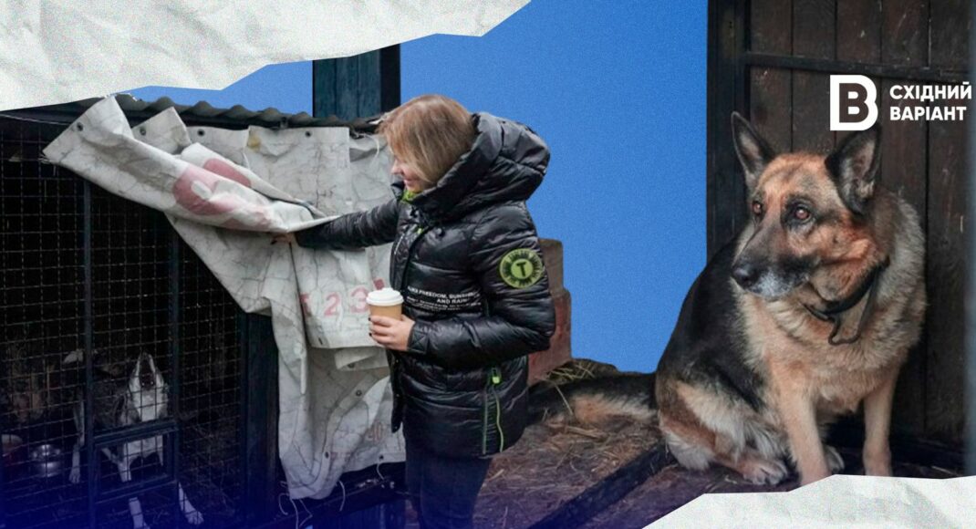 "Терміново шукає родину собака з Донеччини". Репортаж із центру перетримки тварин із прифронтових територій