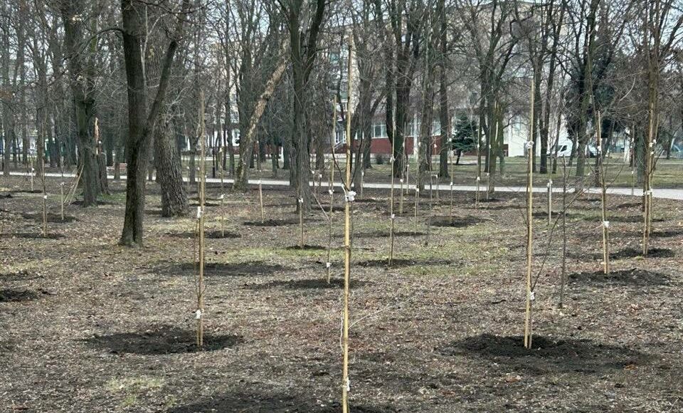 У Краматорському "Сімейному" парку висаджують дерева