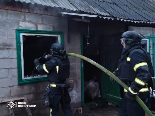 У селищі Олексієво-Дружківка на пожежі загинула жінка