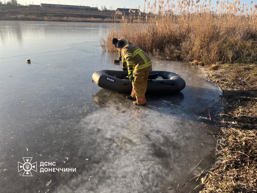 На Донеччині надзвичайники визволили лебедів із крижаної пастки на Краматорщині