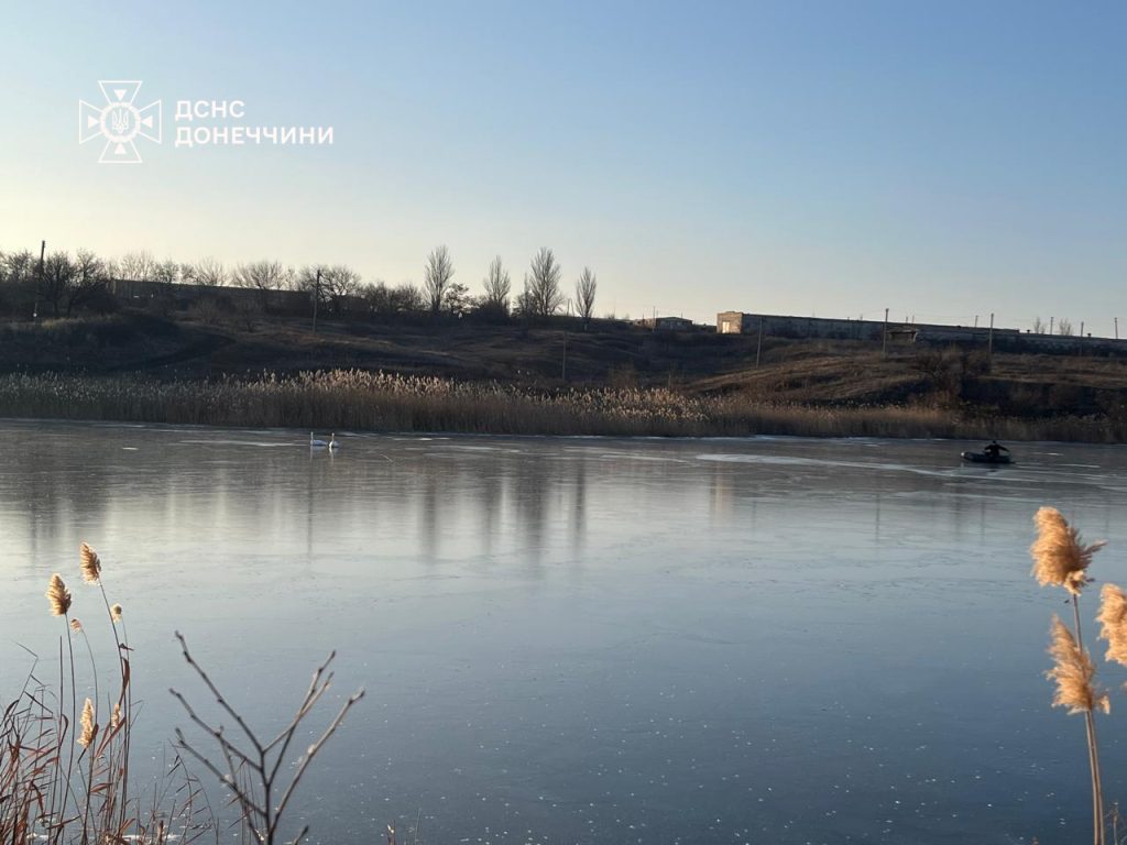 На Донеччині надзвичайники визволили лебедів із крижаної пастки на Краматорщині