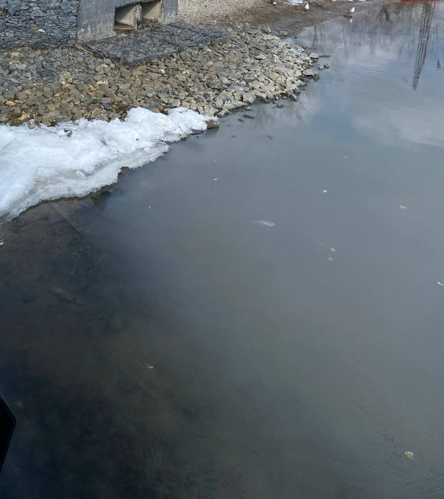 В окупованому Маріуполі море забруднюється каналізаційними стоками