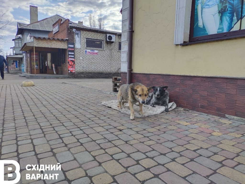 Добропілля