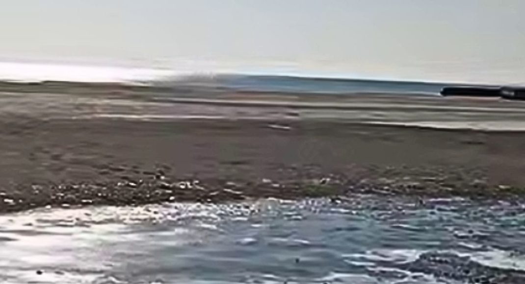 Російська окупація сприяє екологічній катастрофі в Азовському морі