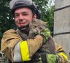 У Білозерському з-під завалів дістали живого котика