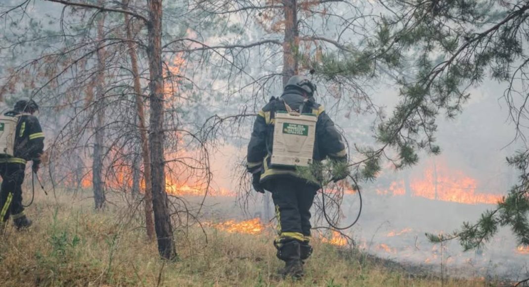 У Лимані рятувальники ліквідували масштабну лісову пожежу, спричинену авіаударом (фото)