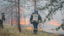 У Лимані рятувальники ліквідували масштабну лісову пожежу, спричинену авіаударом (фото)