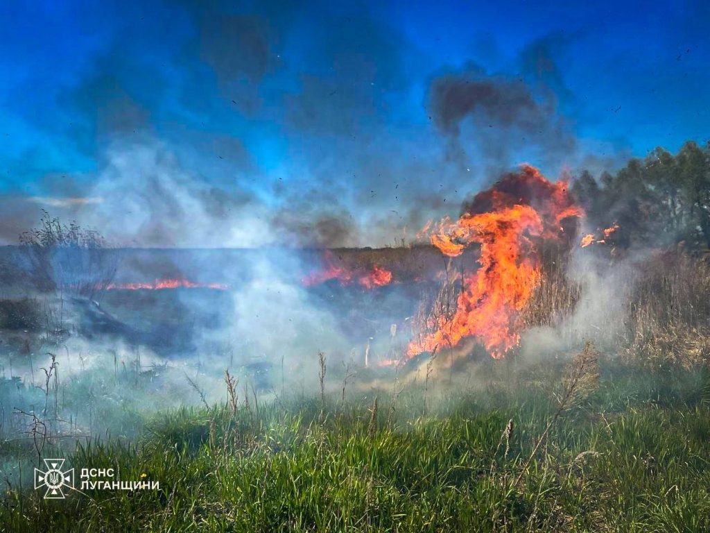 Вогнеборці з Луганщини ліквідували пожежі на Харківщині