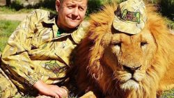 Вывезенный лев из Мариуполя напал на владельца крымского зоопарка