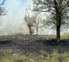 У Краматорському районі сталося дві пожежі у лісовому масиві Дробишевського лісництва
