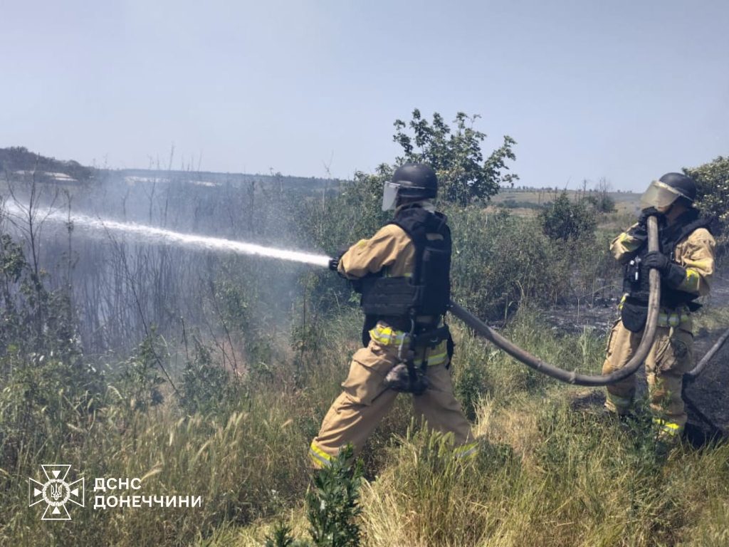 У Краматорському районі сталося дві пожежі у лісовому масиві Дробишевського лісництва