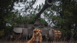 Враг активизировал наступления на Лиманском направлении и восточных фронтах