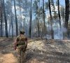 Из Донецкой области эвакуировали еще 210 человек с детьми
