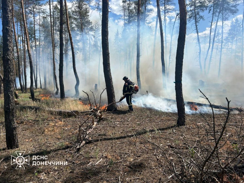 пожежі на Донеччині