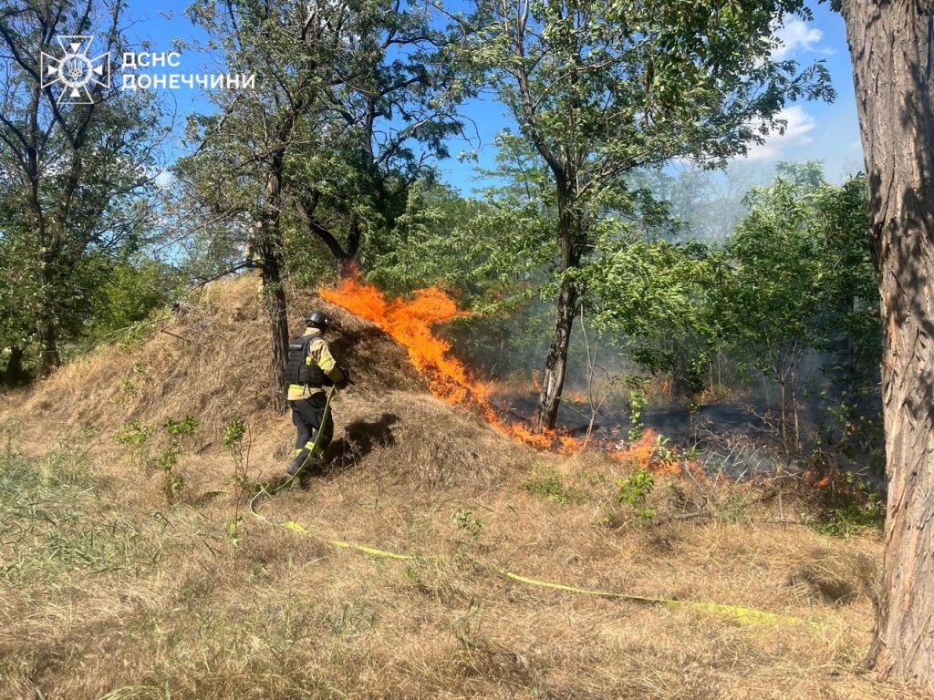 пожежі на Донеччині